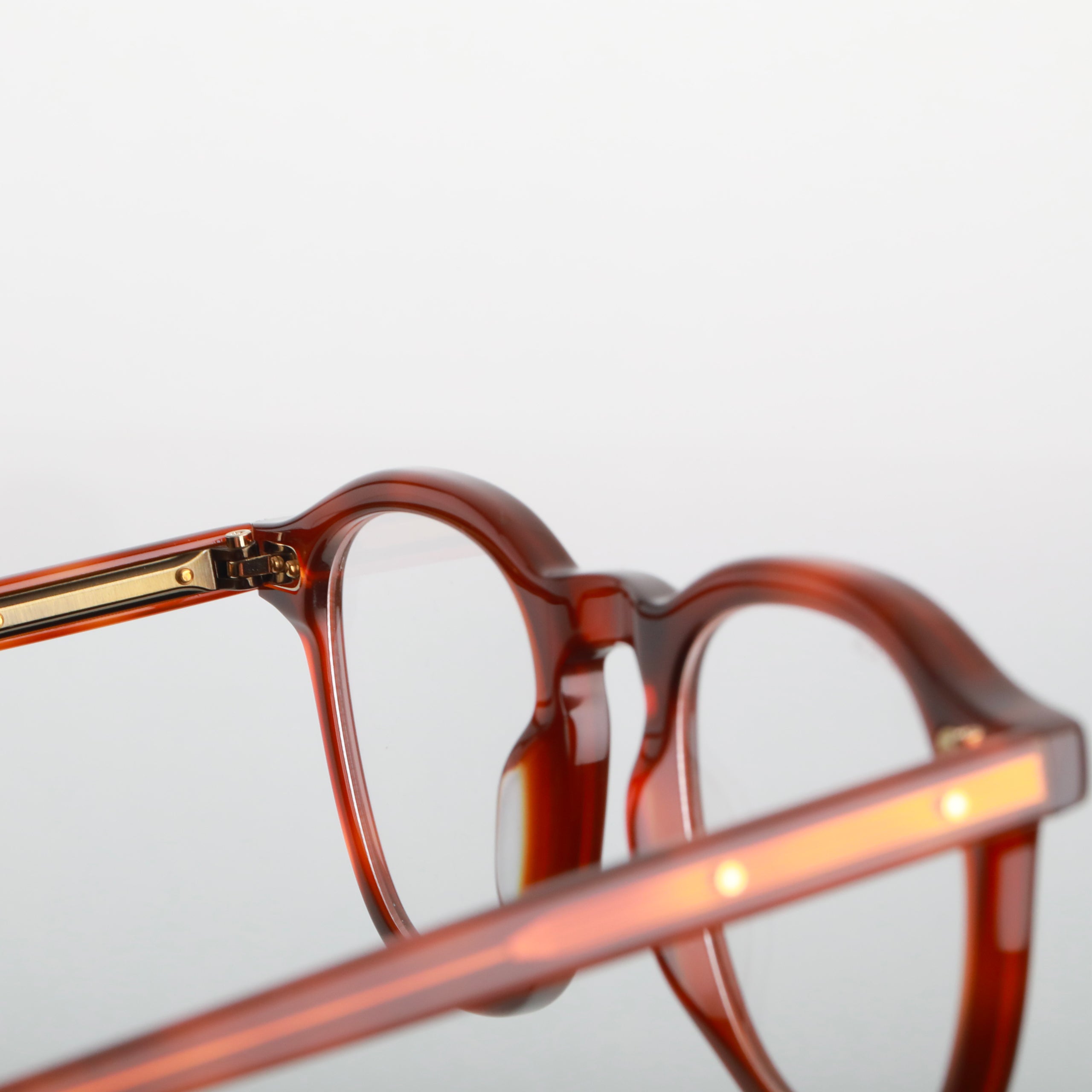 #Couleur_Brown Tortoise