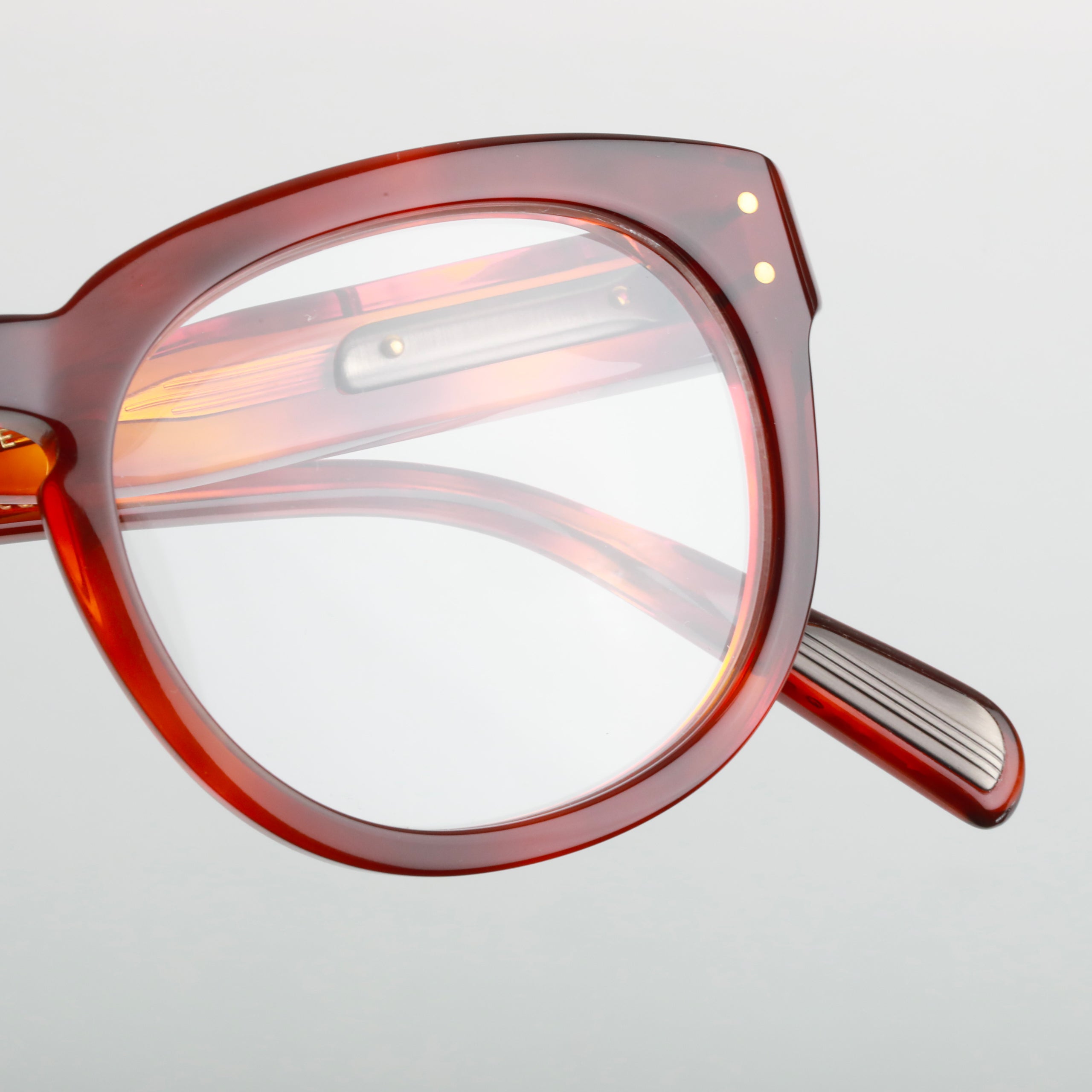 #Couleur_Light Tortoise