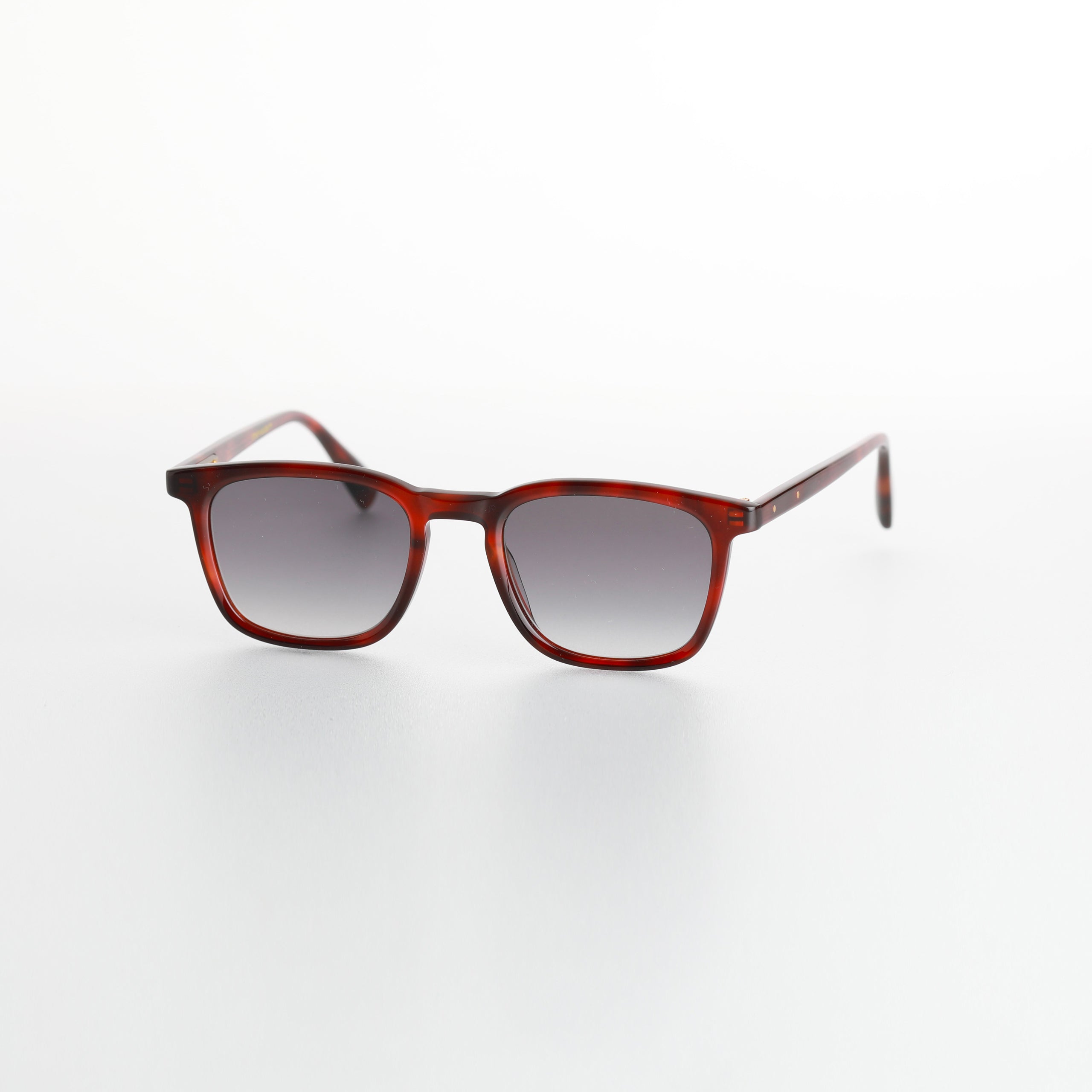 #Couleur_Light Tortoise